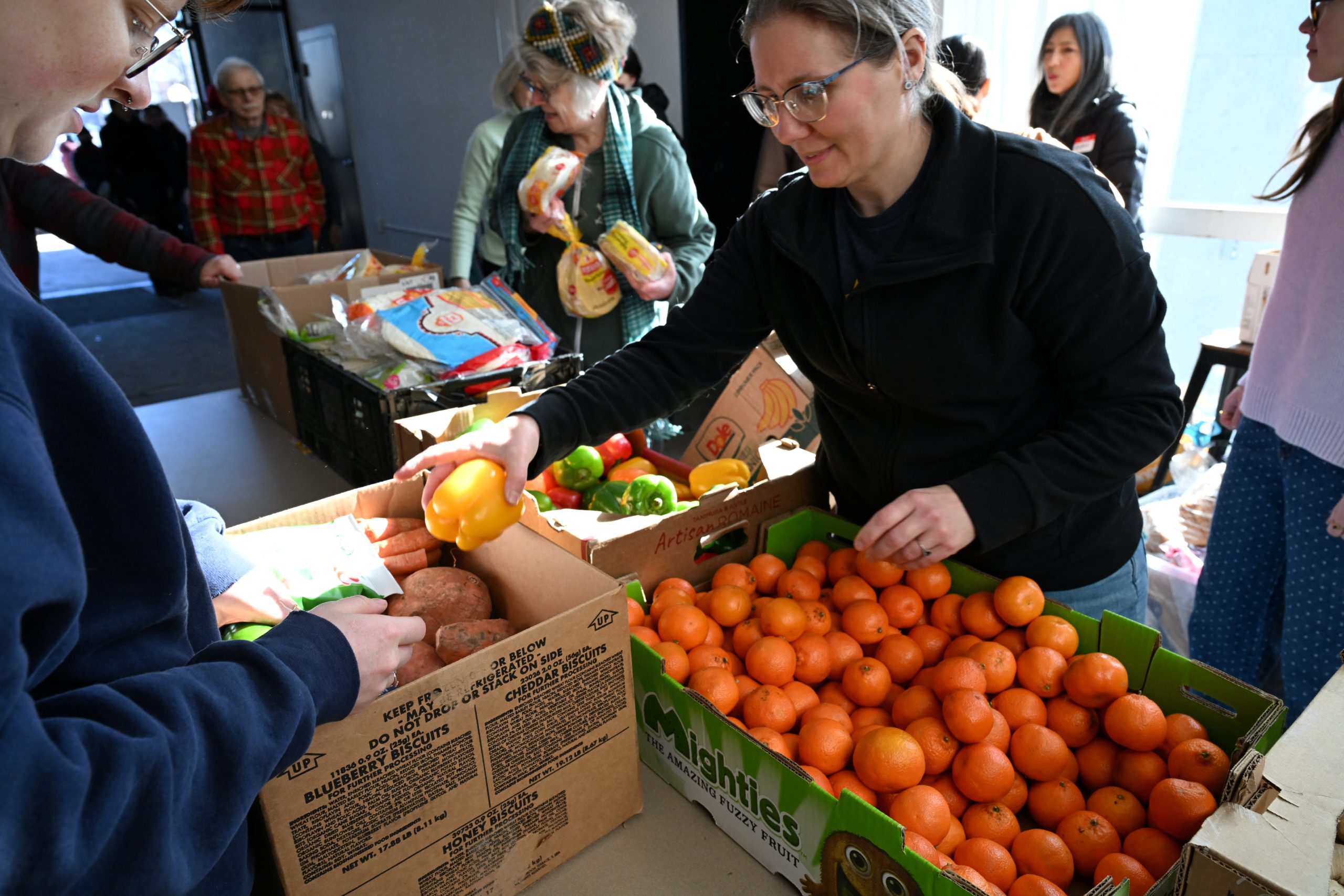 A woman distributes clementines and a lemon from cardboard boxes on a table