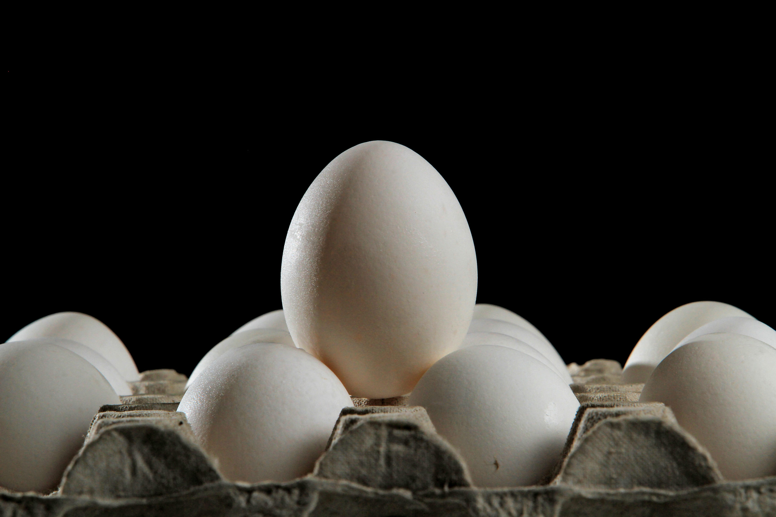 A carton of a dozen eggs with a black background.