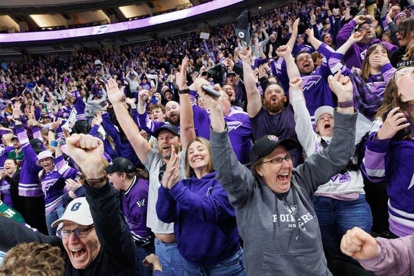 Fans cheer in the stands.
