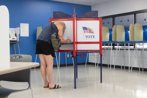 A person votes