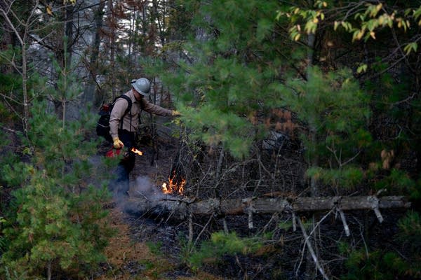 cultural prescribed fire