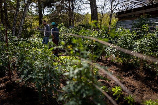 Two men stand in a garden