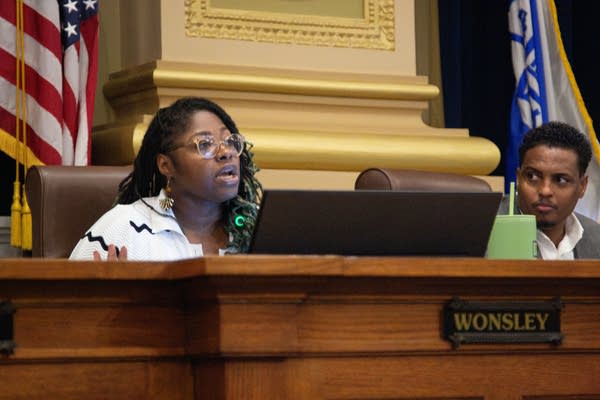 A council member speaks into a microphone during a meeting.