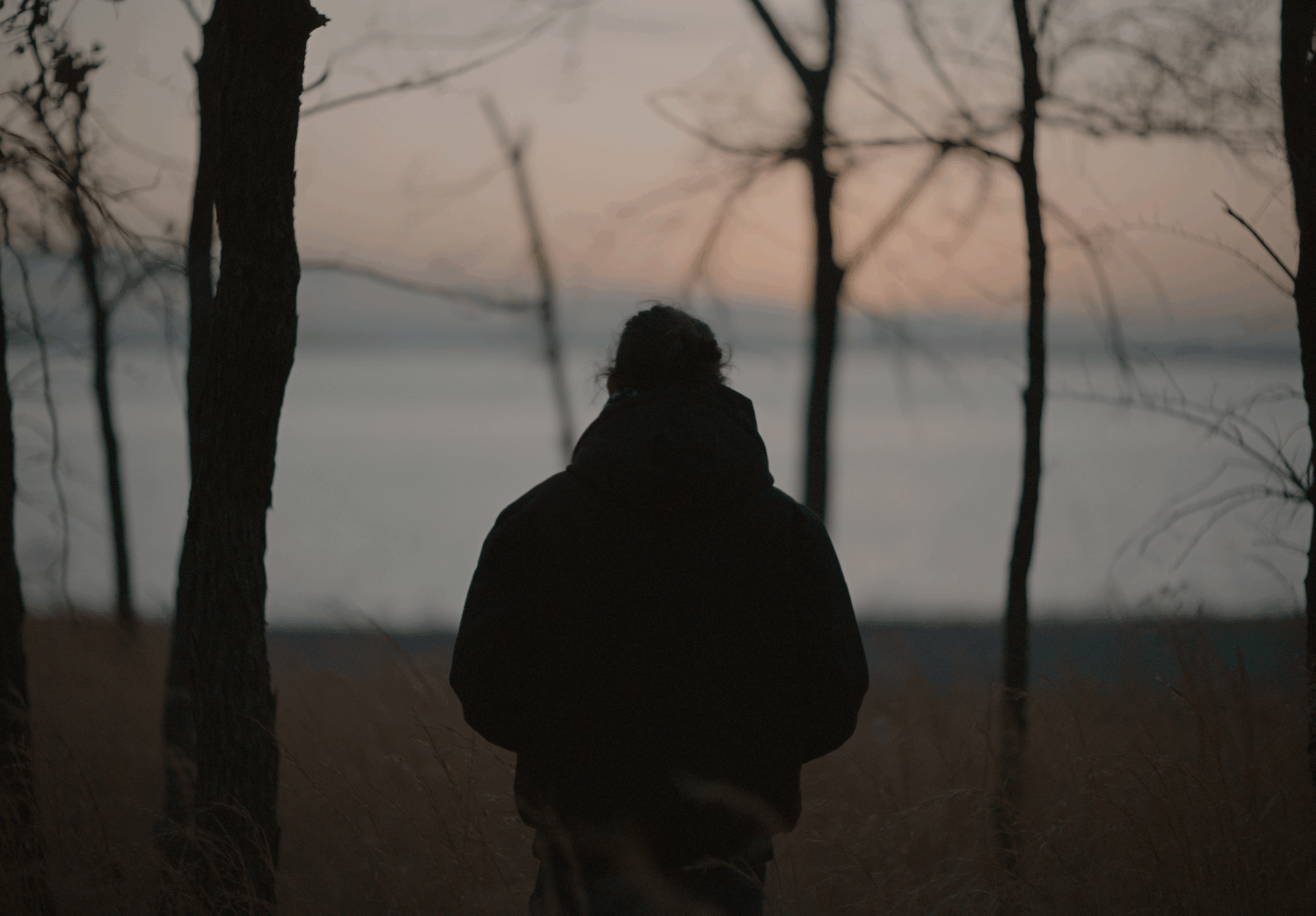 A silhouette of a man near in a forest area, looking towards a lake.
